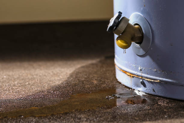 Best Carpet water damage restoration  in Maitland, FL