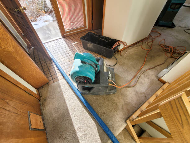 Best Flood damage cleanup  in Maitland, FL