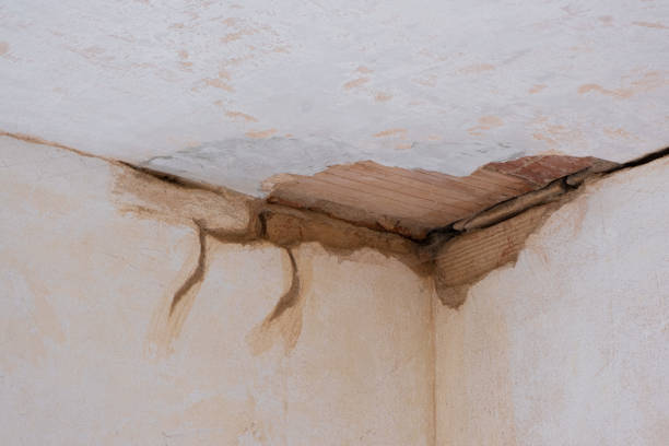 Best 24-hour water damage restoration  in Maitland, FL