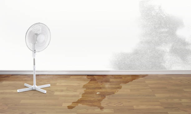 Best Commercial water damage restoration  in Maitland, FL