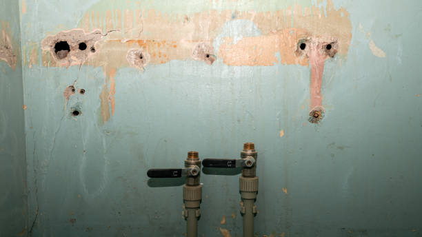 Best Water damage contractors near me  in Maitland, FL