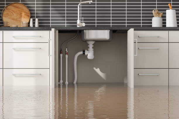 Best Water damage contractors near me  in Maitland, FL
