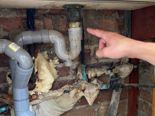Best Flooded house restoration  in Maitland, FL