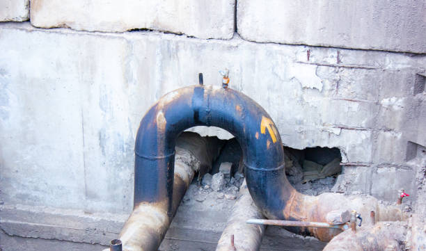 Best Mold removal after water damage  in Maitland, FL