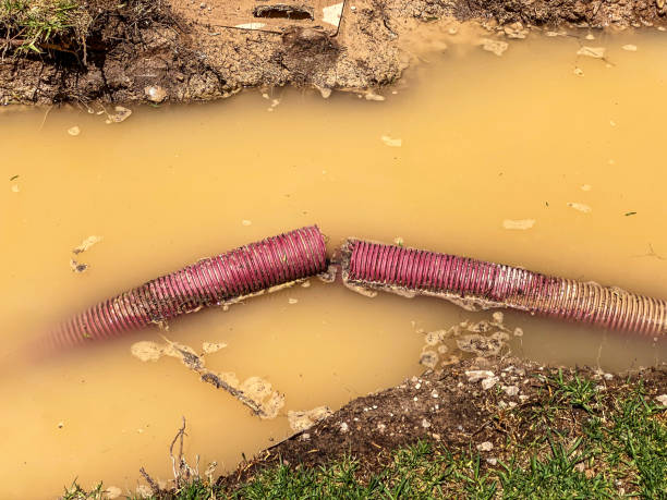 Best Basement water damage restoration  in Maitland, FL